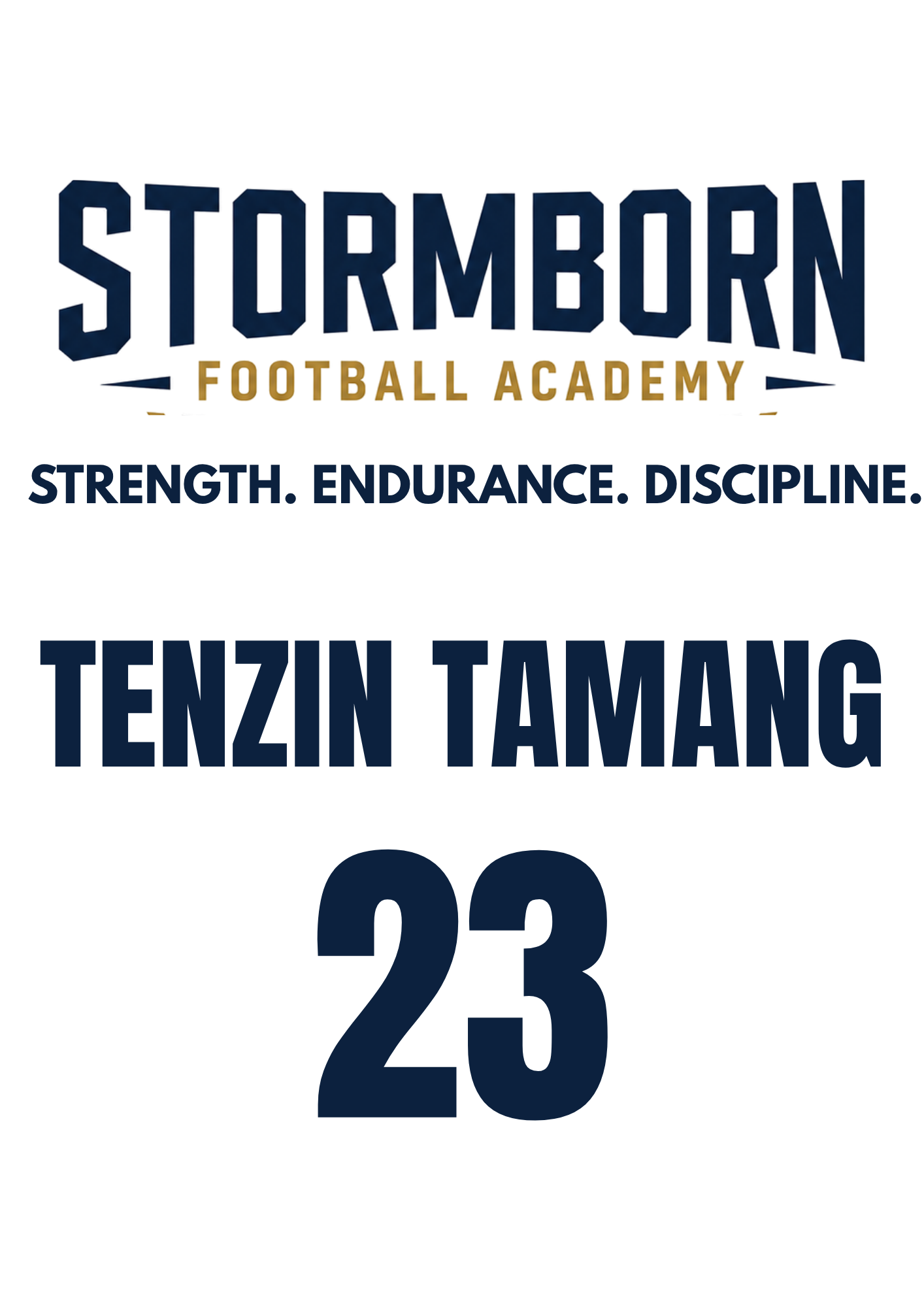 Stormborn jersey back